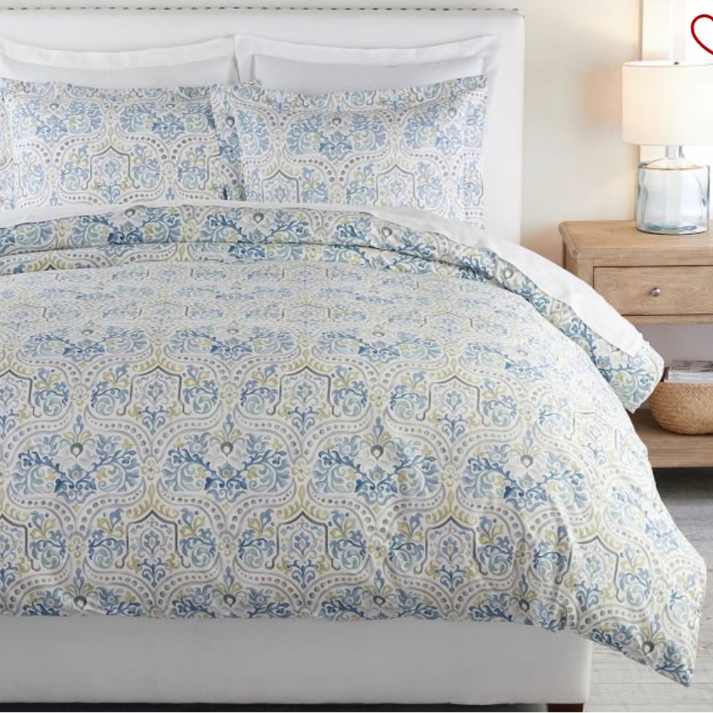 Pottery Barn Jessie Duvet and 3 Matching Shams - Queen